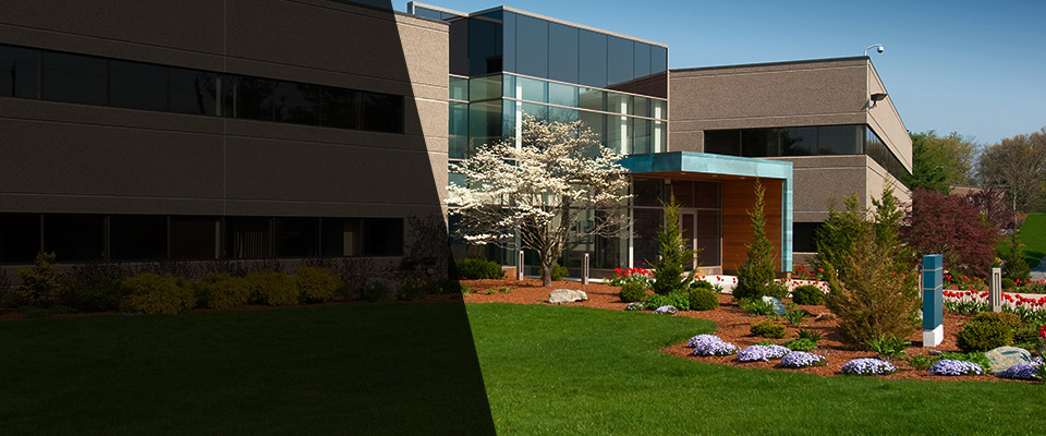 Wimberley Landscapers