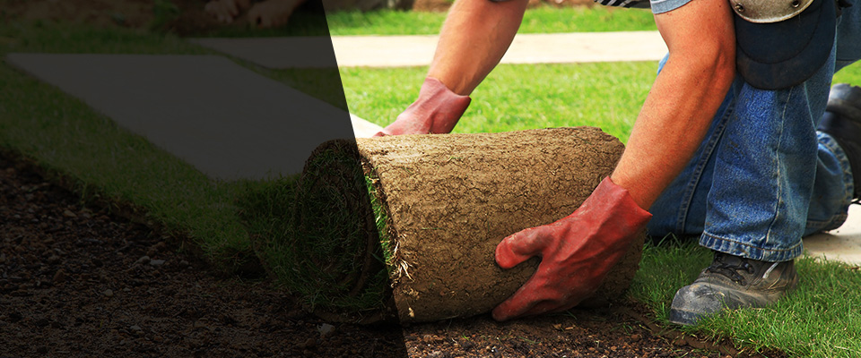 Wimberley Landscapers